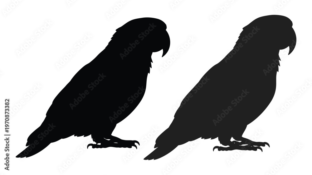 Fototapeta premium Two parrot silhouettes are displayed facing slightly to the right against a white background