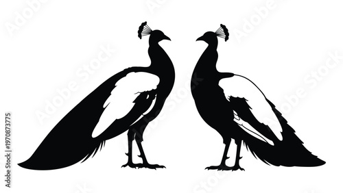 Two peacocks facing each other in a striking black silhouette illustration