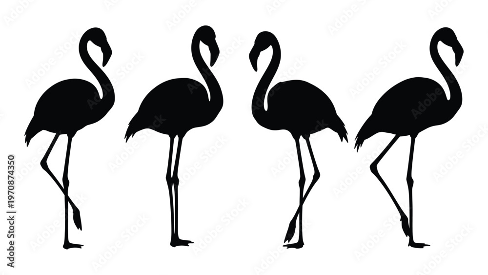 Obraz premium Four black silhouettes of flamingos standing in various poses against a white background