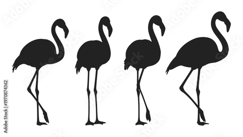 Four flamingos in silhouette displaying varying poses and graceful necks