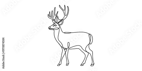 Minimalist one line drawing of a majestic buck with large antlers on a plain white background Vector, illustration