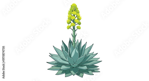 Illustration of a Blooming Agave Plant with Yellow Flowers
