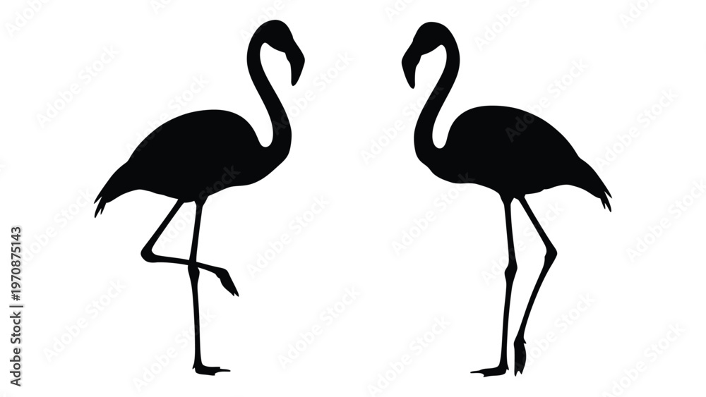 Fototapeta premium Two black silhouettes of flamingos standing with curved necks and slender legs