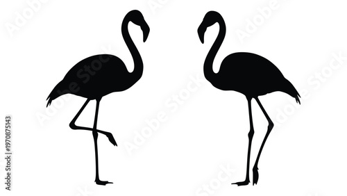 Two black silhouettes of flamingos standing with curved necks and slender legs