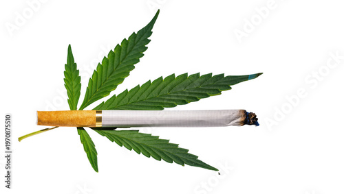 Tableau sur toile Rolled cannabis joint resting atop vibrant green cannabis leaf, displaying smoke