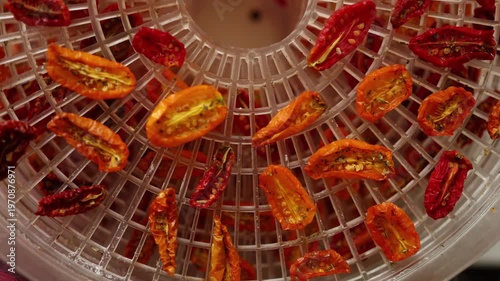 Bright red and yellow cherry tomatoes are arranged in a dehydrator, drying under warm air. This healthy method preserves their flavor, perfect for summer snacks.