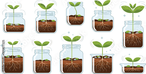 Plant growth stages vector set in glass jars with seedlings roots soil and sprouting leaves for gardening education design
