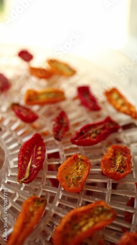 Bright red and yellow cherry tomatoes are arranged in a dehydrator, drying under warm air. This healthy method preserves their flavor, perfect for summer snacks.