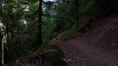 Slow Motion Two Hikers On Shaded Forest Trail