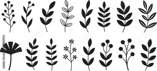 Botanical silhouettes of leaves and berries branches and plants various floral elements in black on transparent background for nature decor.