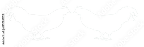 Minimalist chicken outline vector set, two white rooster silhouettes, farm animal line art illustration, simple poultry design element for branding and decor