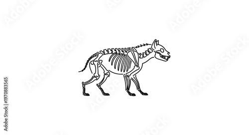 Hyena Skeleton Illustration - Ancient Predator Anatomy