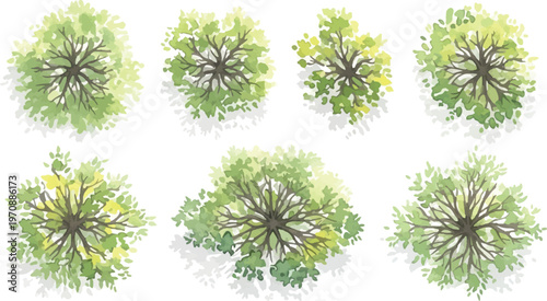 Watercolor architectural tree plan symbols, set of 7 green landscape design elements for site mapping. Top view garden vegetation icons for masterplan and urban planning. isolated PNG with