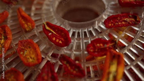 Bright red and yellow cherry tomatoes are arranged in a dehydrator, drying under warm air. This healthy method preserves their flavor, perfect for summer snacks.