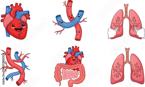 Cute cartoon human internal organs vector set including smiling heart lungs intestines and blood vessels for educational medical healthcare pediatric design projects and anatomy learning illustrations