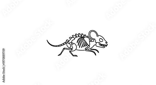 Cartoon Mouse Skeleton Illustration