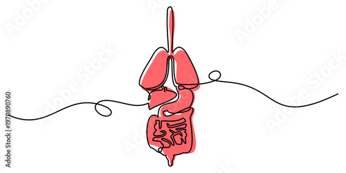 Editable continuous one line drawing human organ vector for minimal health clinics. Ideal for symbolizing sleek anatomy, clean biology, and modern internal medical care.
