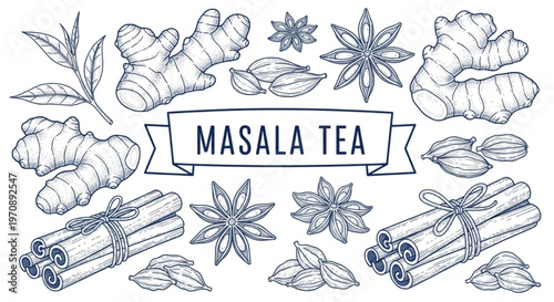 Vintage Masala Tea Spice Set: Hand-Drawn Botanical Illustrations of Ginger, Cinnamon, Star Anise, and Cardamom