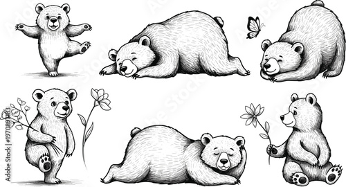 Cute Hand Drawn Bear Illustration Set with Playful Poses Flowers Butterfly and Vintage Engraving Style Detailed Line Art Vector Collection