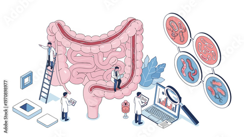 Team of medical researchers examines a large anatomical model of the human intestines to study various bacteria types.