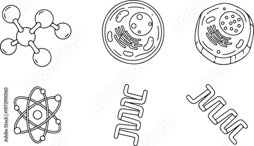 A clean set of black linear icons representing fundamental scientific concepts like molecular structures, animal cells, DNA strands, and atomic models.