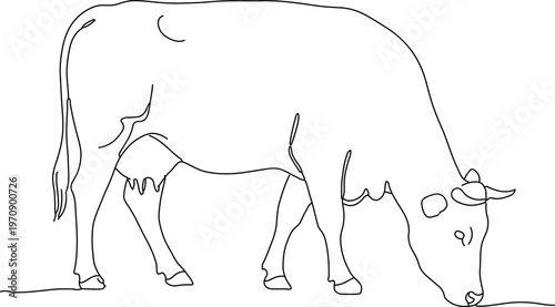 Minimalist continuous line drawing of a grazing cow, simple black outline of a farm animal, modern dairy cattle vector illustration for logo design