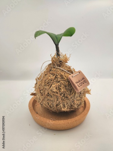 Handmade Kokedama with Love Tag, Minimalist Plant Gift Background, Eco-friendly Wallpaper