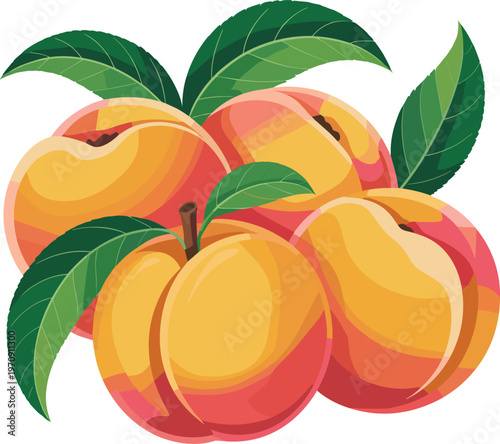 Fresh peaches with green leaves fruit vector on white background.