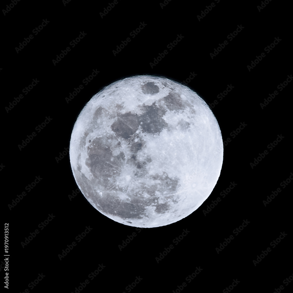 Fototapeta premium full moon in the night