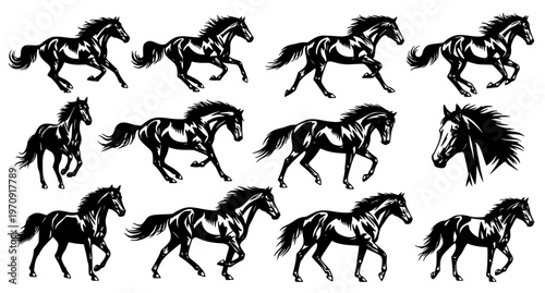 Horse Silhouette Set Black Vector Illustration