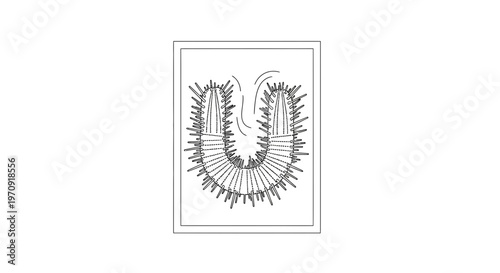 U-shaped worm with tentacles, scientific illustration, marine life, underwater creature