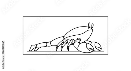 Stylized Crab Illustration Lying Down, Line Art, Ocean Life
