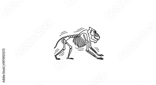 Monkey Skeleton Illustration: Primate Anatomy, Bone Structure, Evolutionary Science