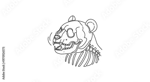Bear Skeleton Head Roaring Outline Drawing