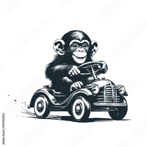 Cute chimpanzee ride a classic pedal car