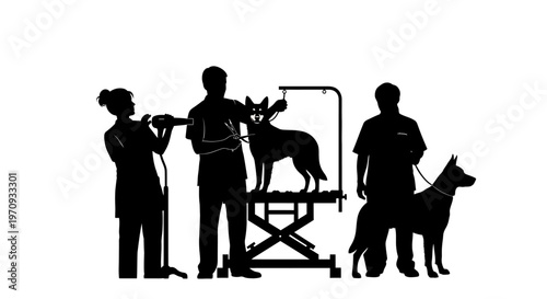 People grooming dogs with tools and techniques at a pet salon