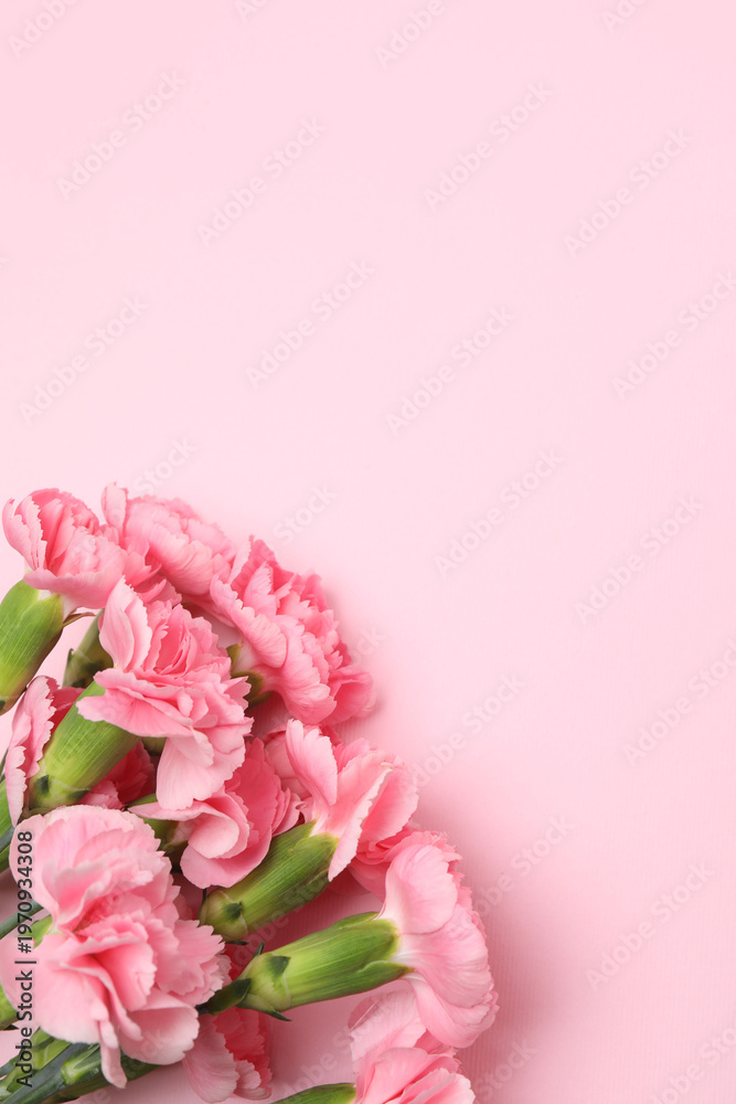 Fototapeta premium Red carnations bouquet on colored background