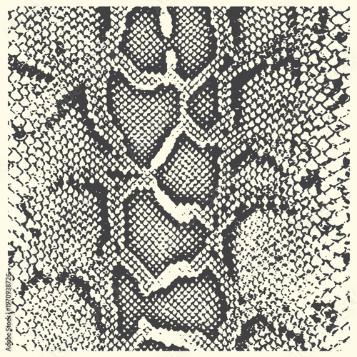 Close-up of snake skin pattern, reptile scales texture in monochrome