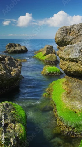 Vertical close-up of weathered coastal rocks covered in bright green moss and algae, jutting out from clear blue ocean water under a sunny sky with white clouds during daytime.