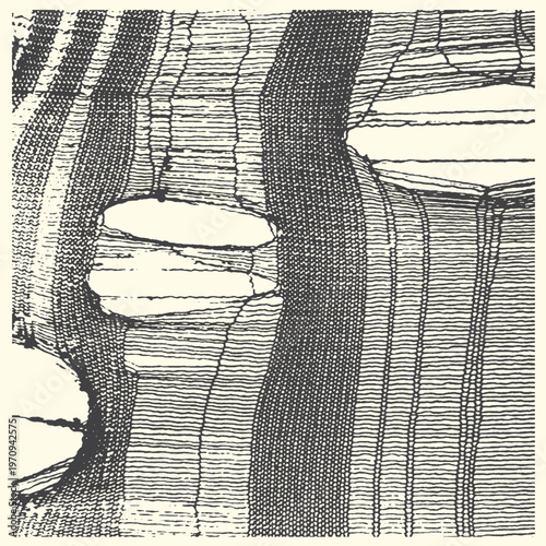 Cross section of wood showing growth rings and vessels with old fashioned with plant structure with texture pattern