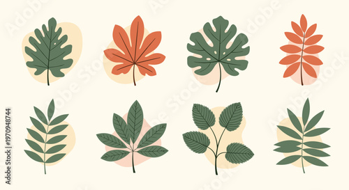 Collection of various autumn leaf shapes in shades of green and orange arranged on a light background for nature design.