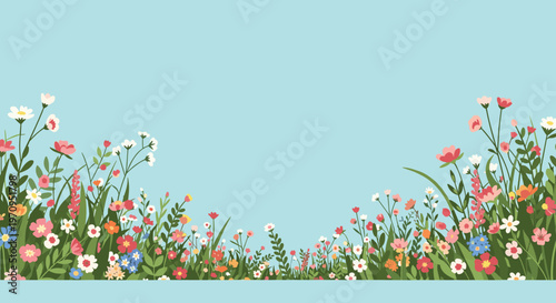 Vibrant field of diverse wildflowers and green grass growing against a clear light blue sky background for spring design.