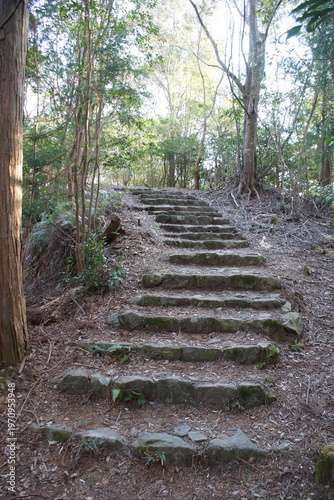熊野古道中辺路の風景　発心門王子跡ー滝尻王子跡