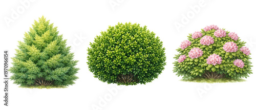 A charming watercolor collection of garden shrubs featuring lush green bushes and blooming ornamental plants illustrated in a natural landscaping style.