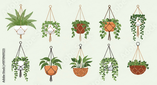 Hanging plants in various pots and planters with green leaves on a light background indoor gardening decoration