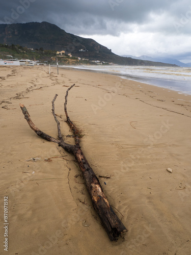 Obraz w ramie Grandi rami e detriti portati dal fiume sulla spiaggia deserta dopo una tempesta