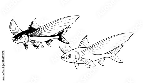 Flying fish character vector set with minimal flat style and monoline outline illustration isolated on white