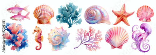 Photography Cute cartoon marine animals and coastal elements collection