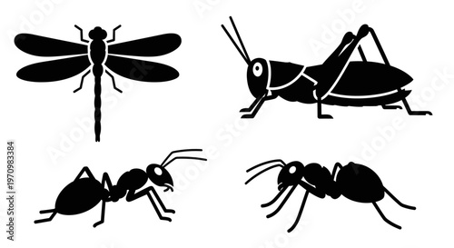 Insect Silhouettes Collection: Dragonfly, Grasshopper, and Ants Vector Illustration
