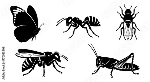 Insect Silhouettes Set: Diverse Flying and Crawling Bugs Collection